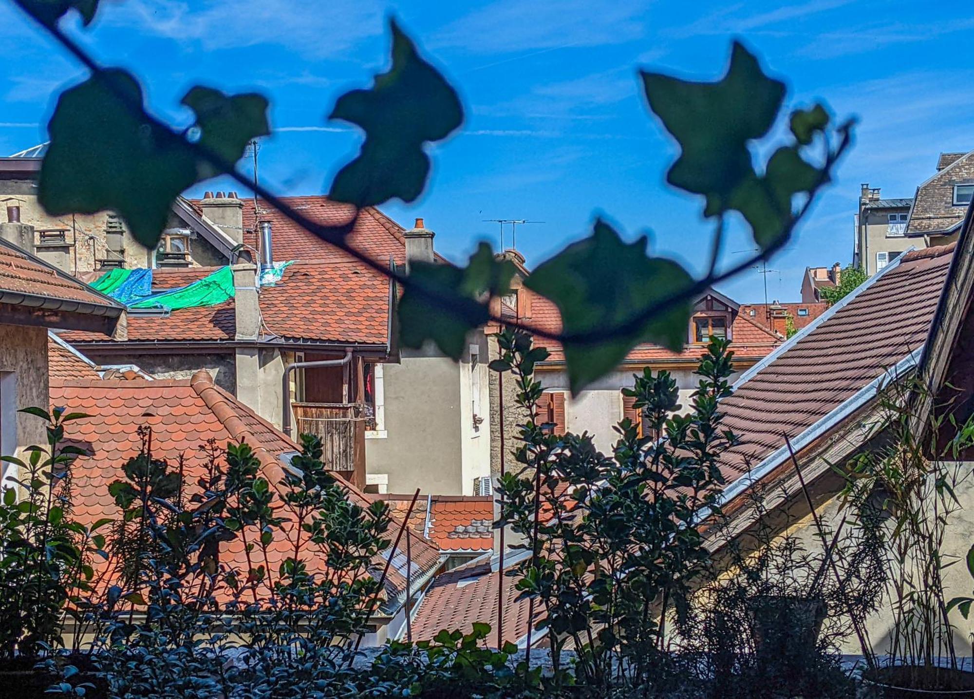 Nid Douillet Bed & Breakfast Annecy Dış mekan fotoğraf